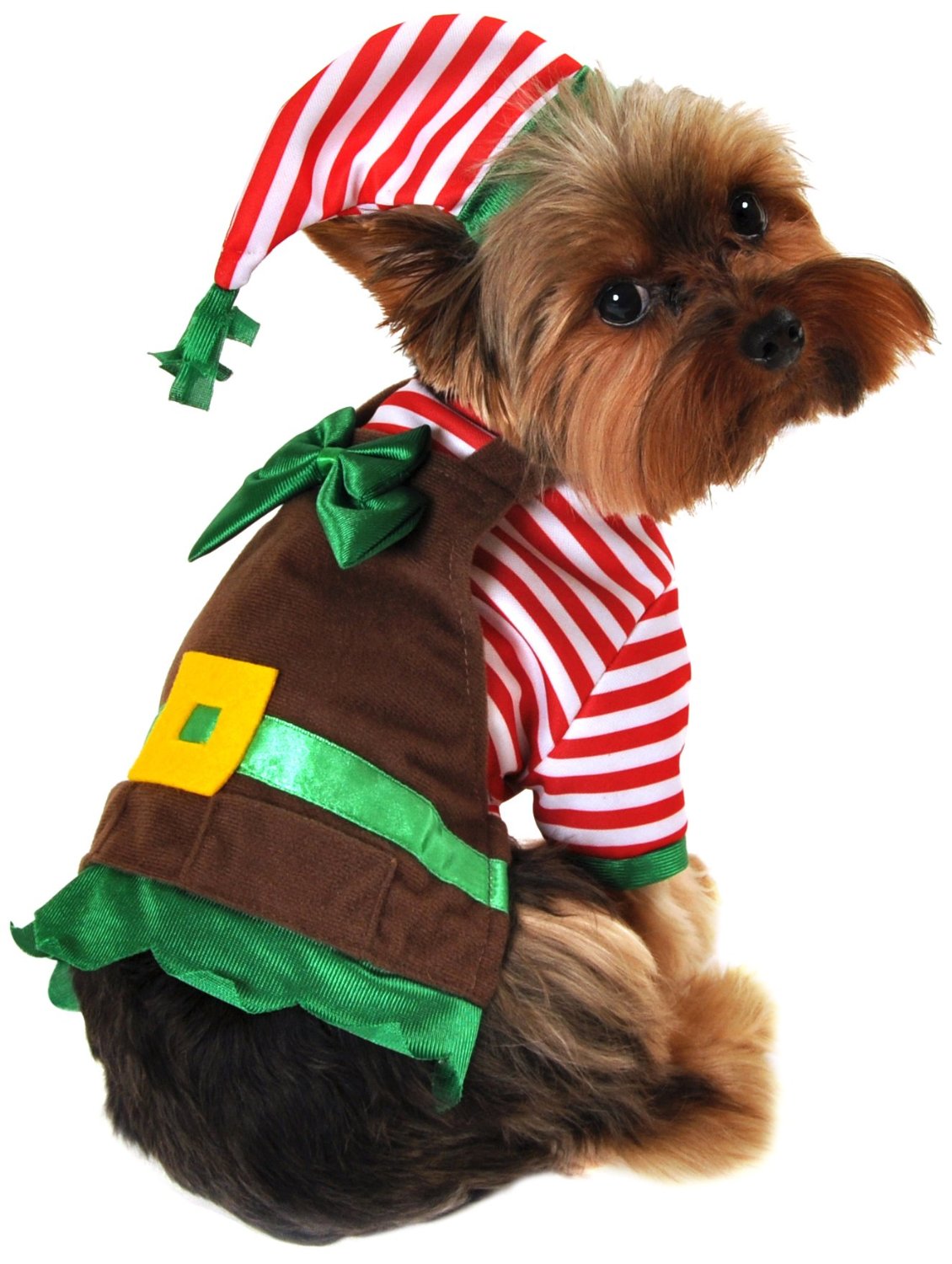 Dog Christmas Costumes